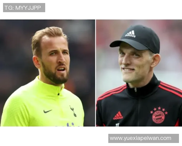 托特纳姆热刺与拜仁慕尼黑对决结果揭晓引发球迷热议 托特纳姆热刺与拜仁慕尼黑对决结果揭晓引发球迷热议