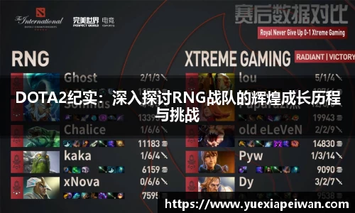 DOTA2纪实：深入探讨RNG战队的辉煌成长历程与挑战