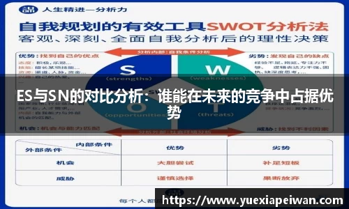 ES与SN的对比分析：谁能在未来的竞争中占据优势